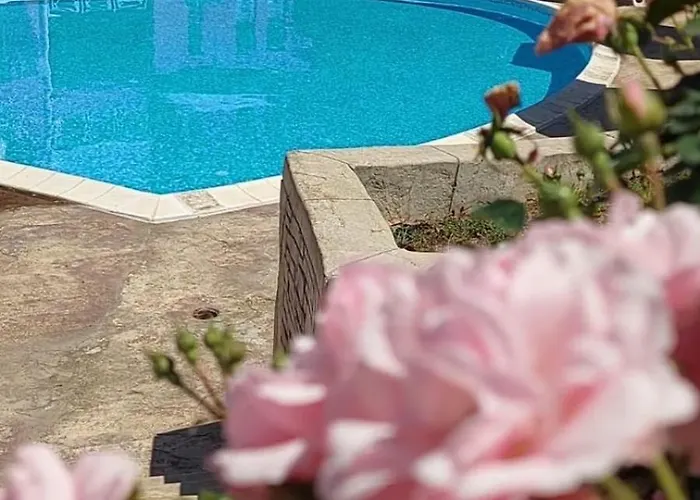 In Sunny Day 6 Complex Hotel Sunny Beach