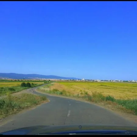 In Sunny Day 6 Complex *