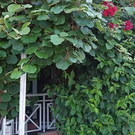 فندق In Sunny Day 6 Complex