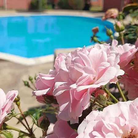 In Sunny Day 6 Complex ساني بيتش